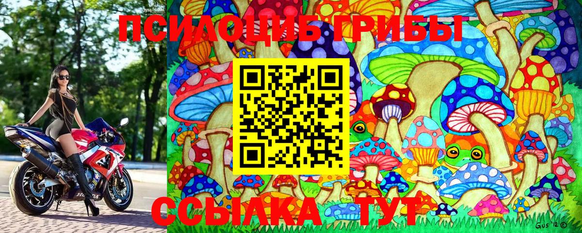 Псилоцибиновые грибы Cubensis Новоалтайск