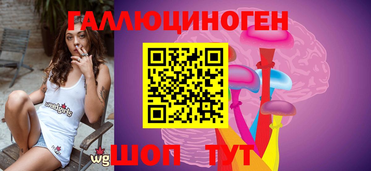 Галлюциногенные грибы GOLDEN TEACHER  Псилоцибиновые грибы ЛСД  Новоалтайск  цена наркотик  Вход с VPN 